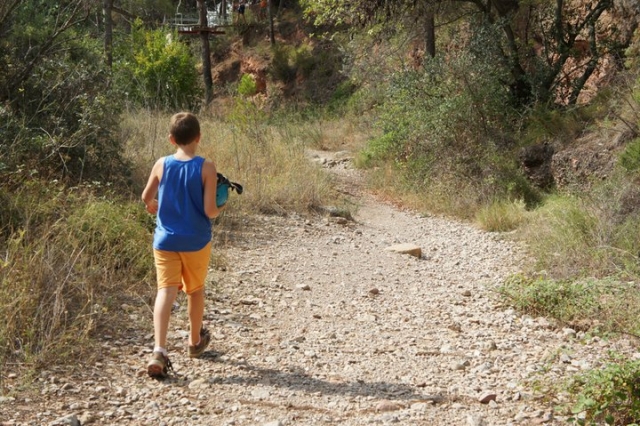 Sendero en el bosque